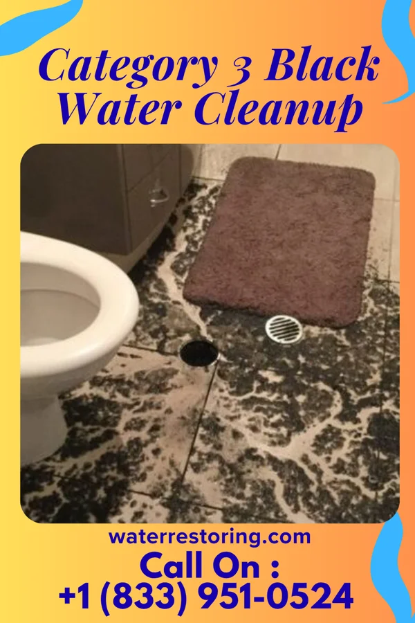 Category 3 Black Water Cleanup in Central High, OK