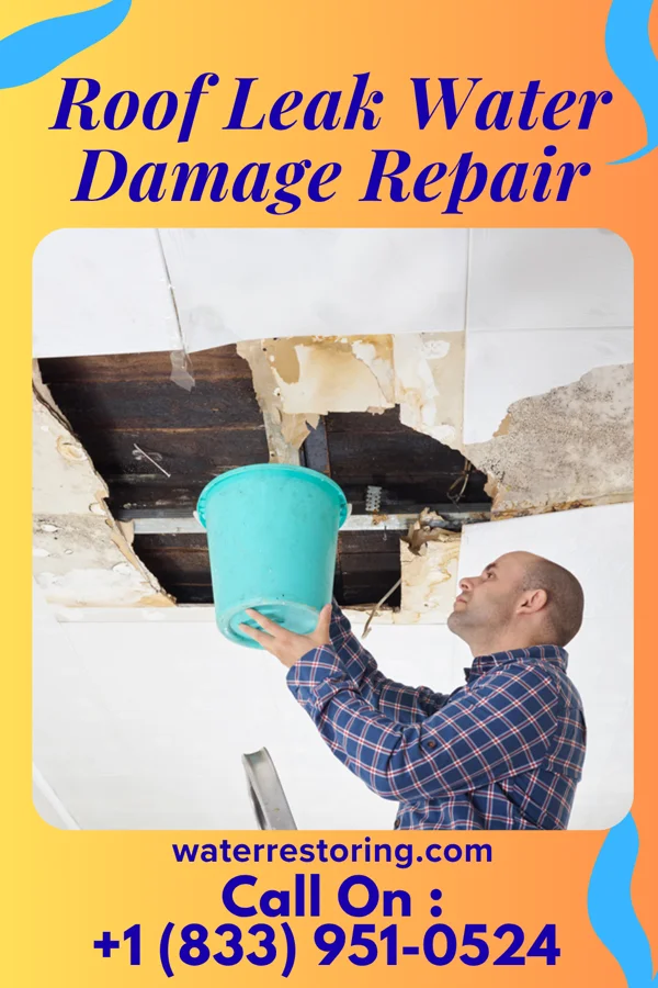 Roof Leak Water Damage Repair in Central High, OK